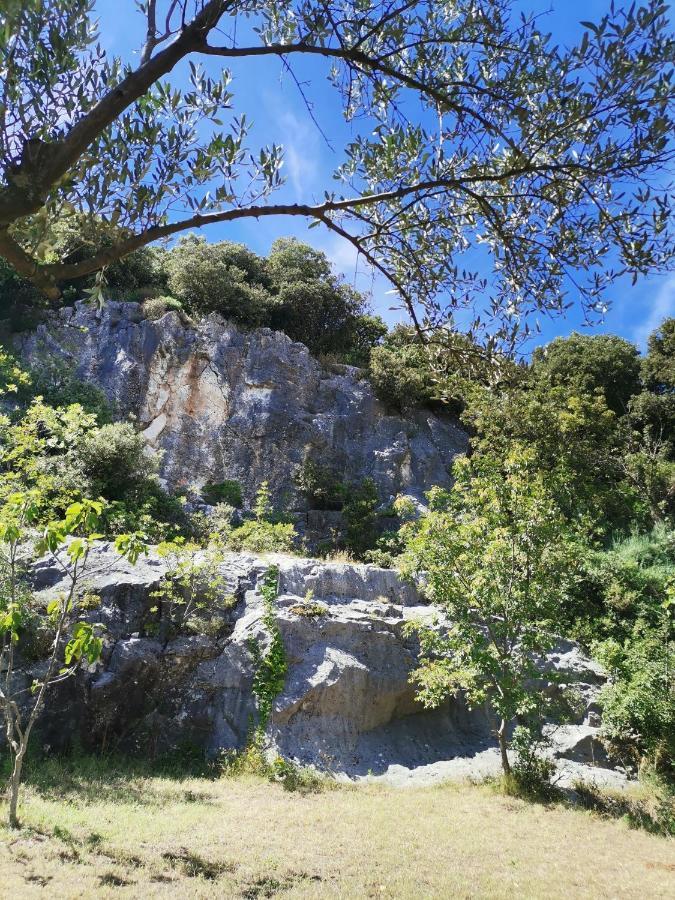 Cave With Free Parking Apartment Пула Екстериор снимка