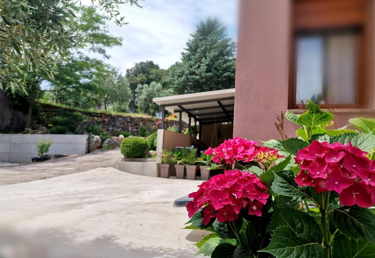 Cave With Free Parking Apartment Пула Екстериор снимка
